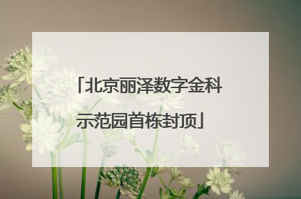 北京丽泽数字金科示范园首栋封顶